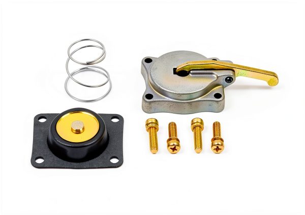 50cc Accelerator Pump Housing Generic Gold Kit-0
