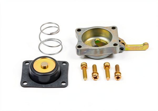 50cc Accelerator Pump Housing Generic Gold Kit-1